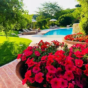 https://borghetto-san-biagio-relais-agriturismo.hotelinveneto.com